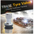 China Ningbo factory TR43E clamp-in tyre valve stem